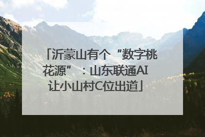 沂蒙山有个“数字桃花源”：山东联通AI让小山村C位出道