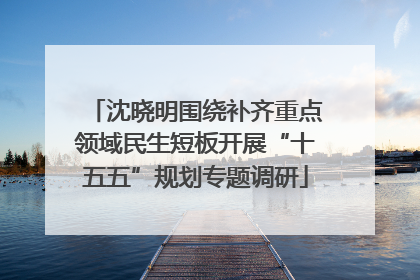 沈晓明围绕补齐重点领域民生短板开展“十五五”规划专题调研