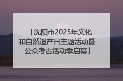 沈阳市2025年文化和自然遗产日主题活动暨公众考古活动季启幕