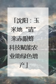 沈阳：玉米地“请”来赤眼蜂 科技赋能农业助绿色增产