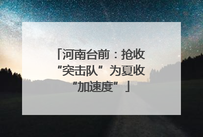 河南台前：抢收“突击队”为夏收“加速度”