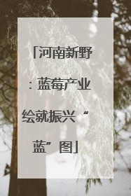 河南新野：蓝莓产业绘就振兴“蓝”图