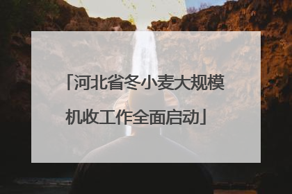 河北省冬小麦大规模机收工作全面启动