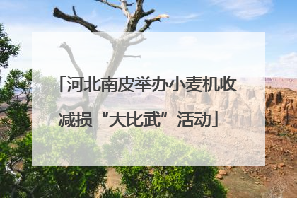 河北南皮举办小麦机收减损“大比武”活动