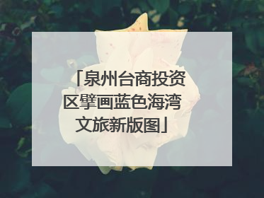 泉州台商投资区擘画蓝色海湾文旅新版图