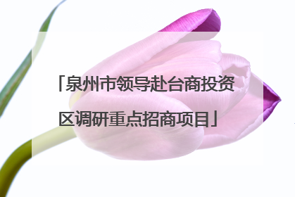 泉州市领导赴台商投资区调研重点招商项目