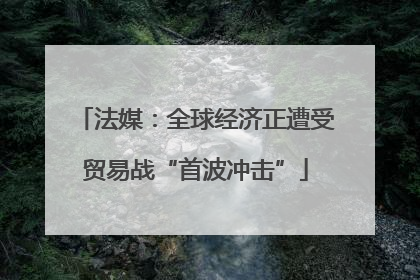 法媒：全球经济正遭受贸易战“首波冲击”