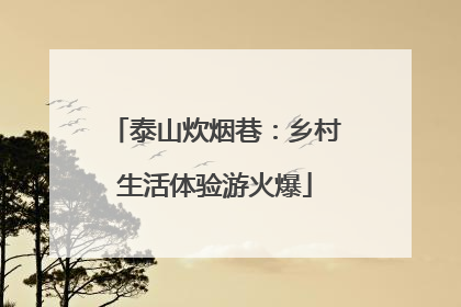 泰山炊烟巷：乡村生活体验游火爆