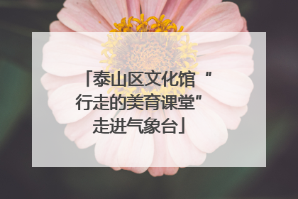 泰山区文化馆“行走的美育课堂”走进气象台
