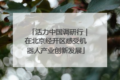 活力中国调研行｜在北京经开区感受机器人产业创新发展