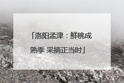 洛阳孟津：鲜桃成熟季 采摘正当时