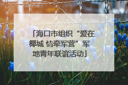 海口市组织“爱在椰城 情牵军营”军地青年联谊活动