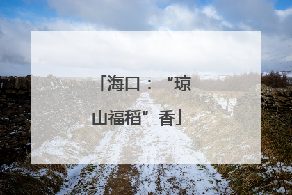 海口：“琼山福稻”香