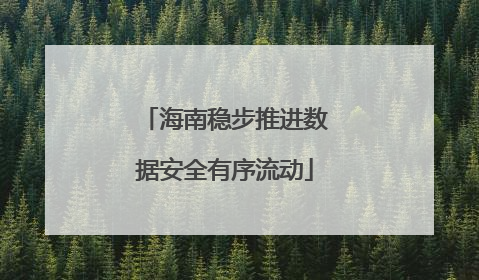 海南稳步推进数据安全有序流动