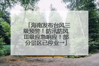 海南发布台风三级预警！防汛防风Ⅲ级应急响应！部分景区已停业→