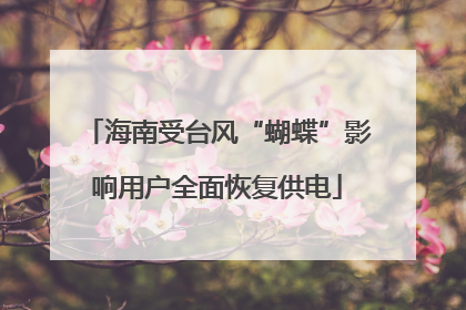 海南受台风“蝴蝶”影响用户全面恢复供电