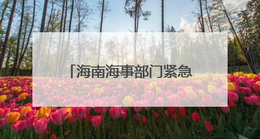 海南海事部门紧急疏散船舶撤离人员防御台风“蝴蝶”