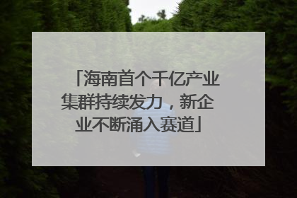 海南首个千亿产业集群持续发力，新企业不断涌入赛道