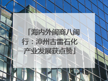 海内外闽商八闽行：漳州古雷石化产业发展获点赞