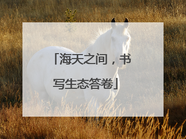 海天之间，书写生态答卷
