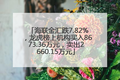 海联金汇跌7.82%，龙虎榜上机构买入8673.36万元，卖出2660.15万元