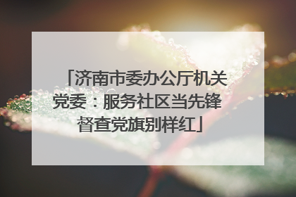 济南市委办公厅机关党委：服务社区当先锋 督查党旗别样红