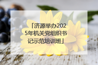 济源举办2025年机关党组织书记示范培训班