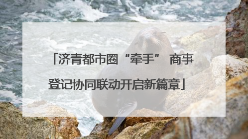 济青都市圈“牵手” 商事登记协同联动开启新篇章
