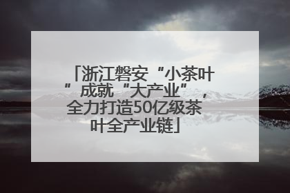 浙江磐安“小茶叶”成就“大产业”，全力打造50亿级茶叶全产业链