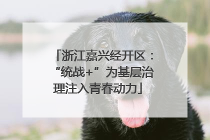 浙江嘉兴经开区：“统战+”为基层治理注入青春动力