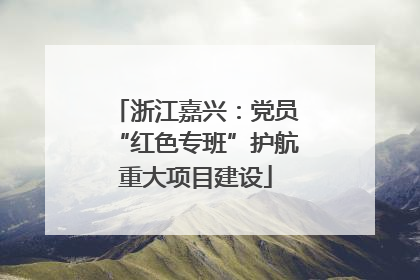浙江嘉兴：党员“红色专班”护航重大项目建设