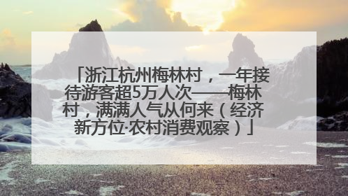 浙江杭州梅林村，一年接待游客超5万人次——梅林村，满满人气从何来（经济新方位·农村消费观察）