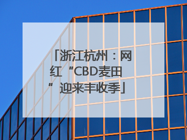 浙江杭州：网红“CBD麦田”迎来丰收季