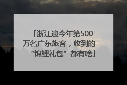 浙江迎今年第500万名广东旅客，收到的“锦鲤礼包”都有啥