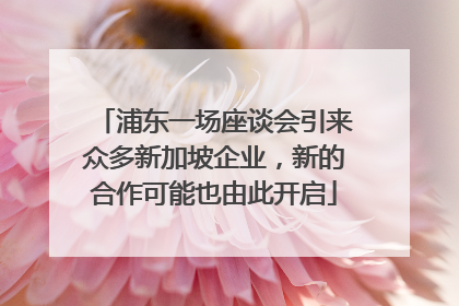 浦东一场座谈会引来众多新加坡企业，新的合作可能也由此开启