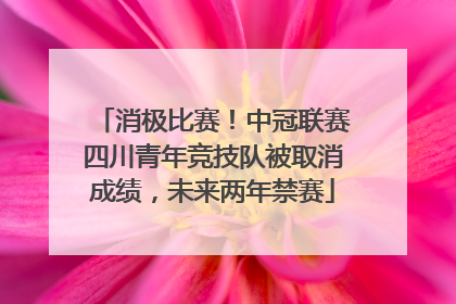 消极比赛！中冠联赛四川青年竞技队被取消成绩，未来两年禁赛