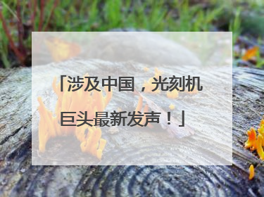 涉及中国，光刻机巨头最新发声！