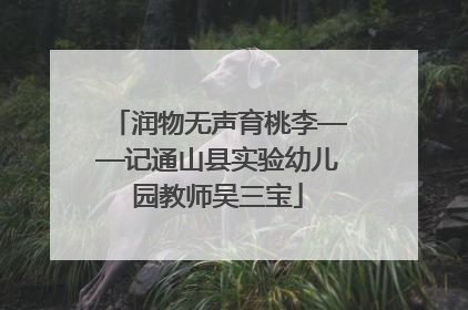 润物无声育桃李——记通山县实验幼儿园教师吴三宝