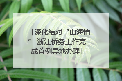 深化结对“山海情” 浙江侨务工作完成首例异地办理