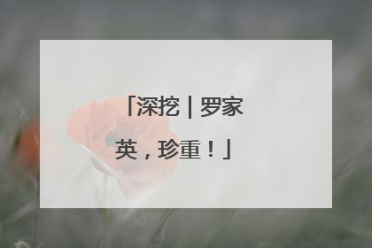 深挖｜罗家英，珍重！