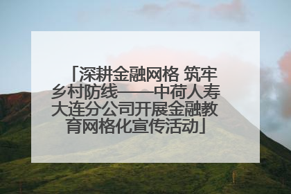 深耕金融网格 筑牢乡村防线——中荷人寿大连分公司开展金融教育网格化宣传活动
