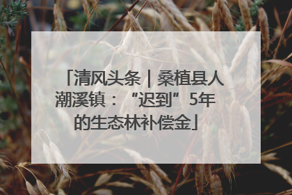 清风头条｜桑植县人潮溪镇：“迟到”5年的生态林补偿金