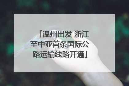 温州出发 浙江至中亚首条国际公路运输线路开通