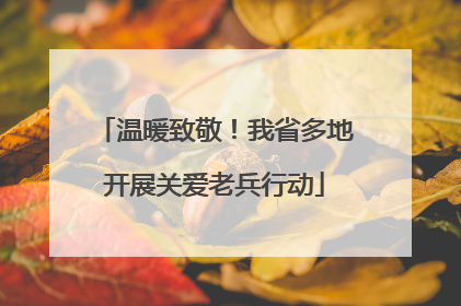 温暖致敬！我省多地开展关爱老兵行动