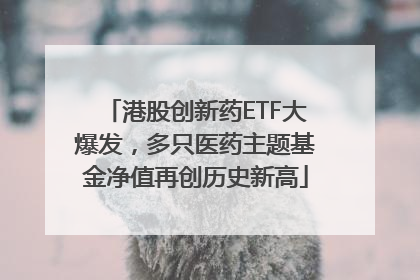 港股创新药ETF大爆发，多只医药主题基金净值再创历史新高