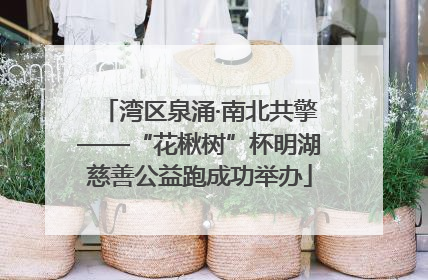 湾区泉涌·南北共擎——“花楸树”杯明湖慈善公益跑成功举办