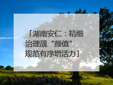 湖南安仁：精细治理靓“颜值” 规范有序增活力