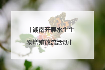 湖南开展水生生物增殖放流活动
