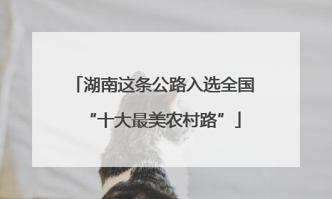 湖南这条公路入选全国“十大最美农村路”