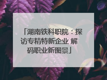 湖南铁科职院：探访专精特新企业 解码职业新图景